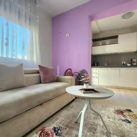 Skanderbeg Deluxe Flat W 24h Check In * 티라나